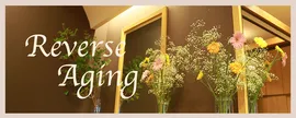 Reverse Aging MENU(現在のページ)