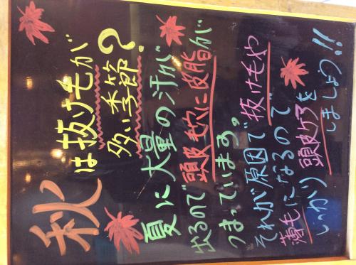 秋はイワイの季節です！！