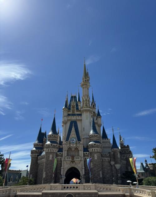 ディズニーランドに行ってきました♪